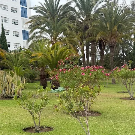 Agaete 220 Playa De Ingles By In Gran Canaria *